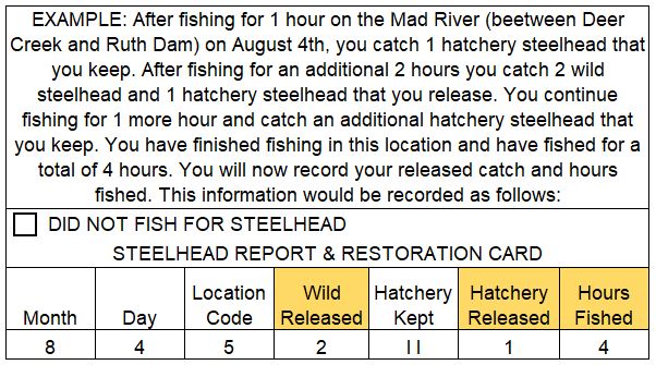 Example of the information on your Steelhed Report Card that should be filled in when you finish fishing for the day or move to a new location code.